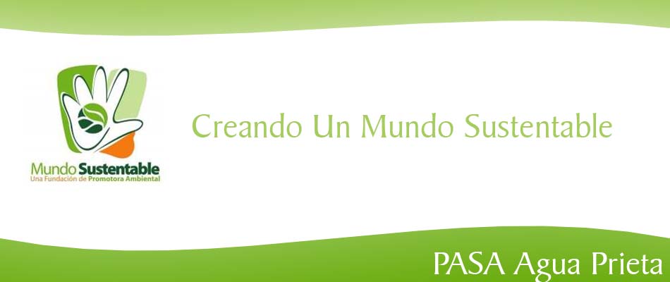 Imagen08